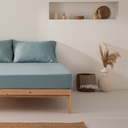 COLOR AZUL